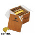 Charuto Cohiba Robustos